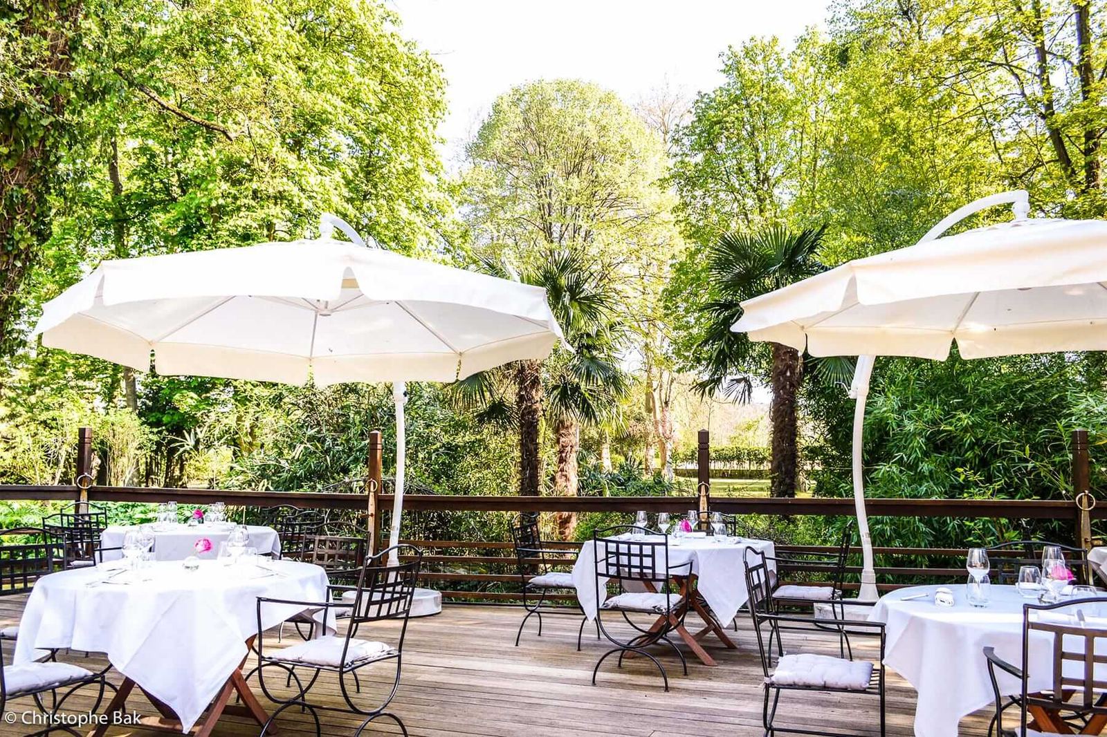 La terrasse sous les arbres centenaires